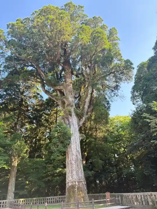 霧島神宮の{uncategorized: "未分類", other: "その他", undefined: "問題あり", building: "その他建物", grave: "お墓", sacred_gate: "鳥居", guardian: "狛犬", statue: "像", buddha: "仏像", history: "歴史", nature: "自然", garden: "庭園", animal: "動物", pagoda: "塔", temizu: "手水舎", mountain_gate: "山門・神門", sanctuary: "本殿・本堂", subordinate: "末社・摂社", art: "芸術", scenery: "景色", jizo: "地蔵", ema: "絵馬", goshuin: "御朱印", omikuji: "おみくじ", items: "授与品その他", amulet: "お守り", goshuincho: "御朱印帳", eats: "食事", festival: "お祭り", votive_dance: "神楽", shichigosan: "七五三参", wedding: "結婚式", experience: "体験その他", initially: "初詣", around: "周辺", anti_infection: "感染症対策"}