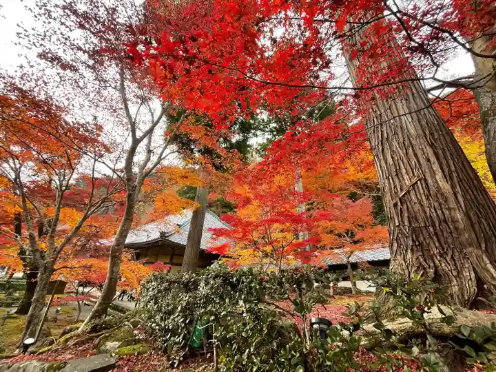永源寺(滋賀県)