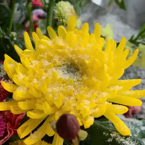 滑川神社 - 仕事と子どもの守り神の手水舎