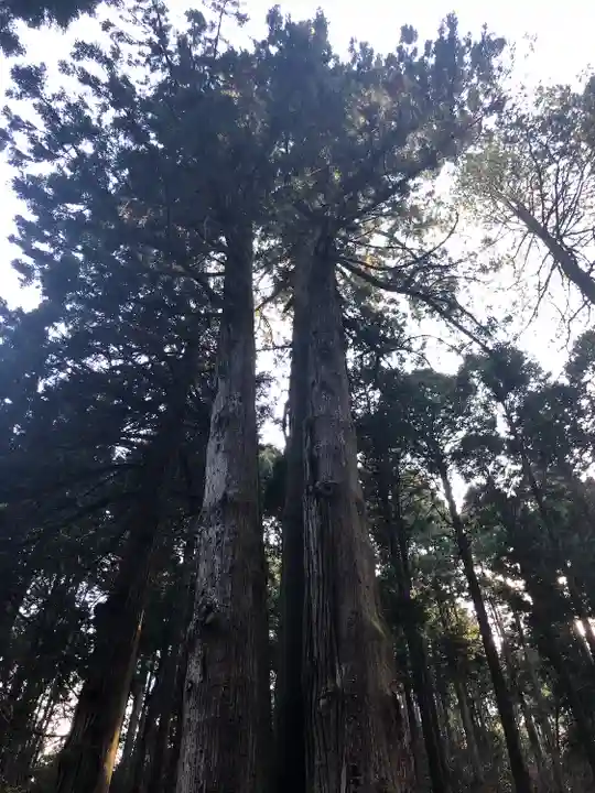 御岩神社の自然