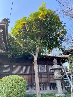 常葉神社(岐阜県)
