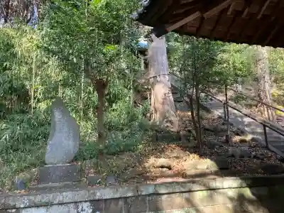 梶原御霊神社の{uncategorized: "未分類", other: "その他", undefined: "問題あり", building: "その他建物", grave: "お墓", sacred_gate: "鳥居", guardian: "狛犬", statue: "像", buddha: "仏像", history: "歴史", nature: "自然", garden: "庭園", animal: "動物", pagoda: "塔", temizu: "手水舎", mountain_gate: "山門・神門", sanctuary: "本殿・本堂", subordinate: "末社・摂社", art: "芸術", scenery: "景色", jizo: "地蔵", ema: "絵馬", goshuin: "御朱印", omikuji: "おみくじ", items: "授与品その他", amulet: "お守り", goshuincho: "御朱印帳", eats: "食事", festival: "お祭り", votive_dance: "神楽", shichigosan: "七五三参", wedding: "結婚式", experience: "体験その他", initially: "初詣", around: "周辺", anti_infection: "感染症対策"}
