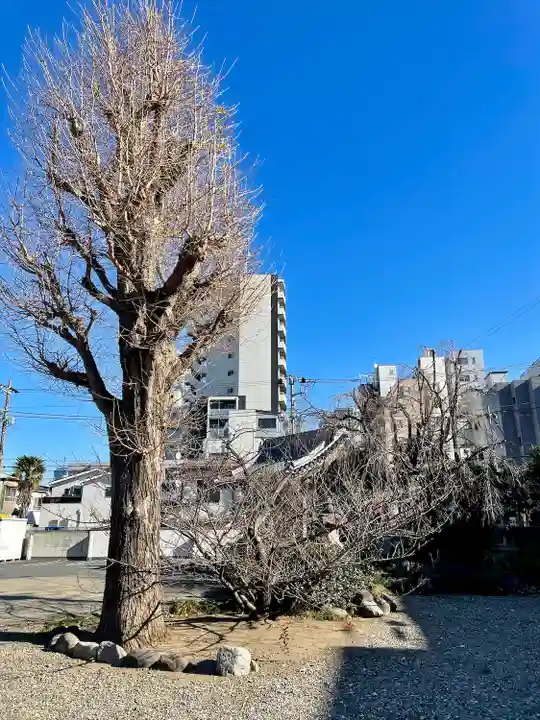 天竜寺(東京都)