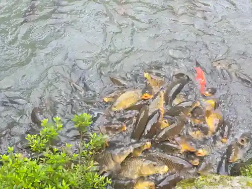 喜見院(滋賀県)