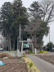 酒門神社(茨城県)(2024年04月03日(水) 14時05分20秒投稿)
