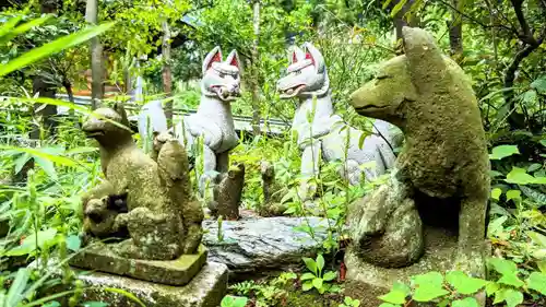 白金氷川神社の狛犬