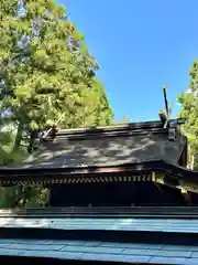 大和神社(奈良県)