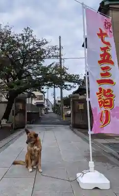 本久寺の動物