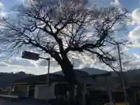 船盡比賣神社(徳島県)