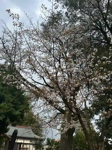 簳幹八幡宮(東京都)