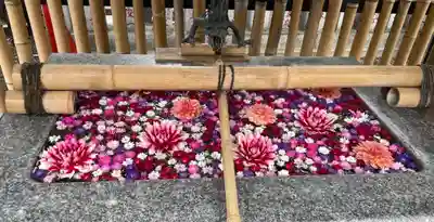 高円寺氷川神社の手水舎