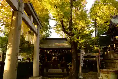 飛木稲荷神社の鳥居