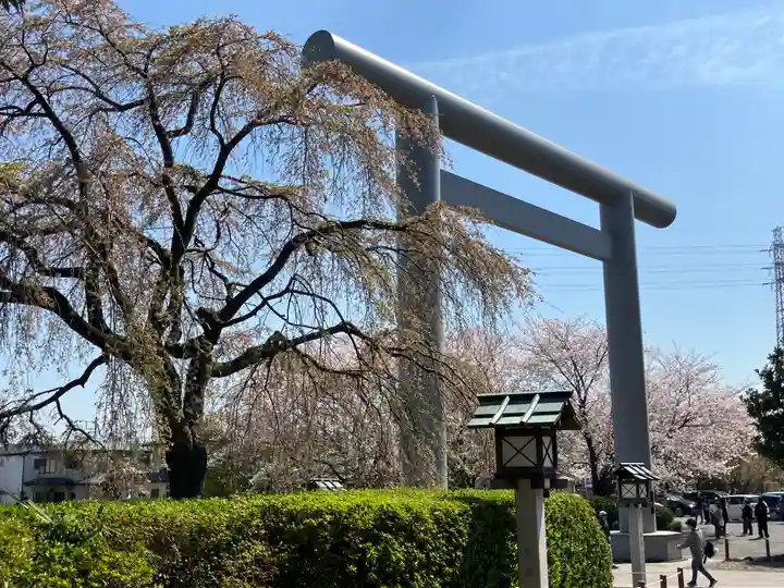 櫻木神社(千葉県)