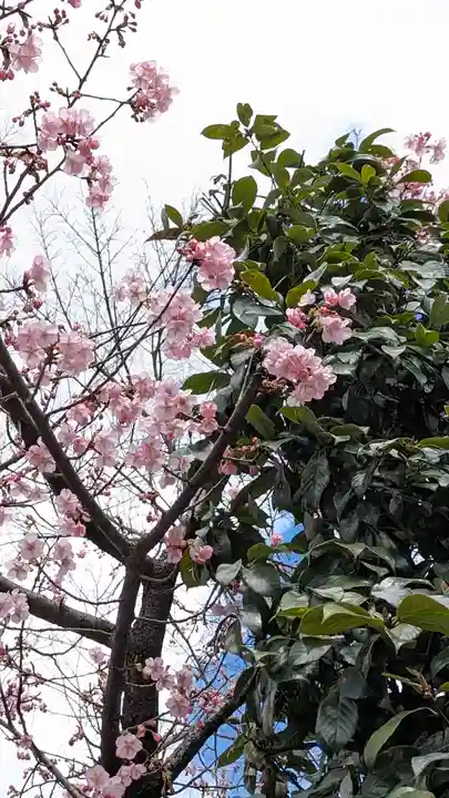 霊山観音(京都府)