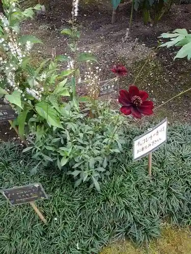 上野東照宮の庭園