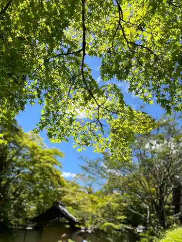 西芳寺(京都府)