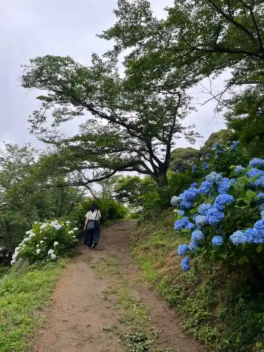 楽法寺(雨引観音)(茨城県)