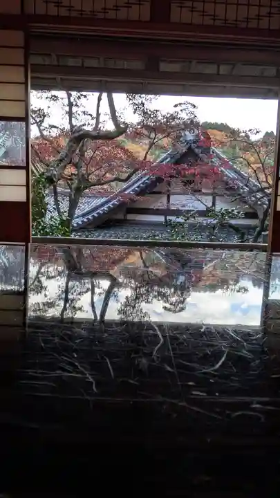 柳谷観音 楊谷寺(京都府)
