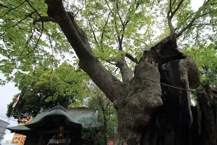 阿邪訶根神社の本殿・本堂