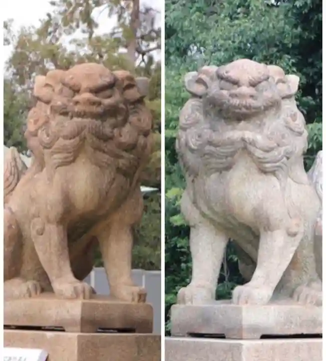 弓弦羽神社の狛犬