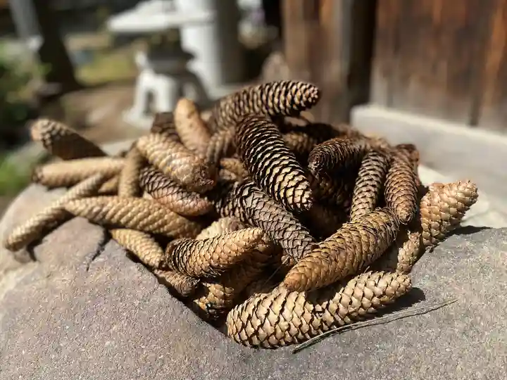 琴似神社(北海道)