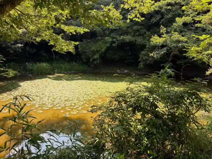 白兎神社(鳥取県)