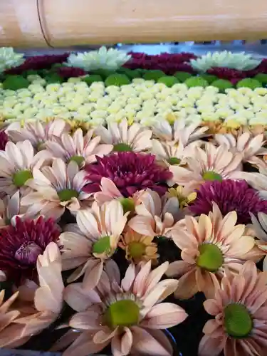 高円寺氷川神社の手水舎