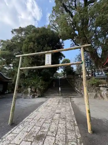 鹿児島神宮(鹿児島県)