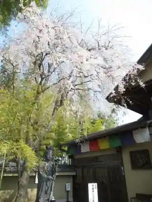 真光寺(千葉県)
