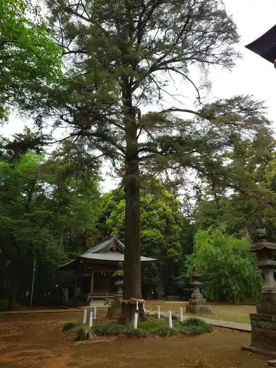 大宮住吉神社の{uncategorized: "未分類", other: "その他", undefined: "問題あり", building: "その他建物", grave: "お墓", sacred_gate: "鳥居", guardian: "狛犬", statue: "像", buddha: "仏像", history: "歴史", nature: "自然", garden: "庭園", animal: "動物", pagoda: "塔", temizu: "手水舎", mountain_gate: "山門・神門", sanctuary: "本殿・本堂", subordinate: "末社・摂社", art: "芸術", scenery: "景色", jizo: "地蔵", ema: "絵馬", goshuin: "御朱印", omikuji: "おみくじ", items: "授与品その他", amulet: "お守り", goshuincho: "御朱印帳", eats: "食事", festival: "お祭り", votive_dance: "神楽", shichigosan: "七五三参", wedding: "結婚式", experience: "体験その他", initially: "初詣", around: "周辺", anti_infection: "感染症対策"}