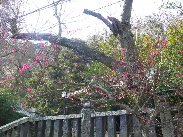 御霊神社の自然