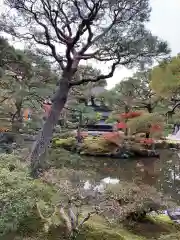 慈照寺（慈照禅寺・銀閣寺）の庭園