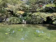 清水寺(京都府)