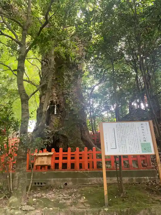 新田神社(鹿児島県)