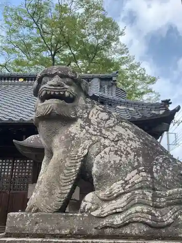 橘神社の狛犬