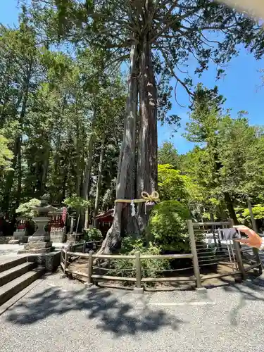北口本宮冨士浅間神社(山梨県)