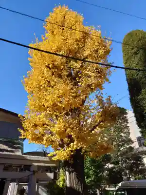 初音森神社(東京都)