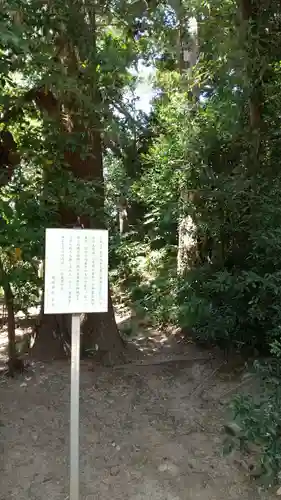 橘樹神社の自然