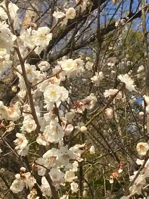 下野 星宮神社の{uncategorized: "未分類", other: "その他", undefined: "問題あり", building: "その他建物", grave: "お墓", sacred_gate: "鳥居", guardian: "狛犬", statue: "像", buddha: "仏像", history: "歴史", nature: "自然", garden: "庭園", animal: "動物", pagoda: "塔", temizu: "手水舎", mountain_gate: "山門・神門", sanctuary: "本殿・本堂", subordinate: "末社・摂社", art: "芸術", scenery: "景色", jizo: "地蔵", ema: "絵馬", goshuin: "御朱印", omikuji: "おみくじ", items: "授与品その他", amulet: "お守り", goshuincho: "御朱印帳", eats: "食事", festival: "お祭り", votive_dance: "神楽", shichigosan: "七五三参", wedding: "結婚式", experience: "体験その他", initially: "初詣", around: "周辺", anti_infection: "感染症対策"}
