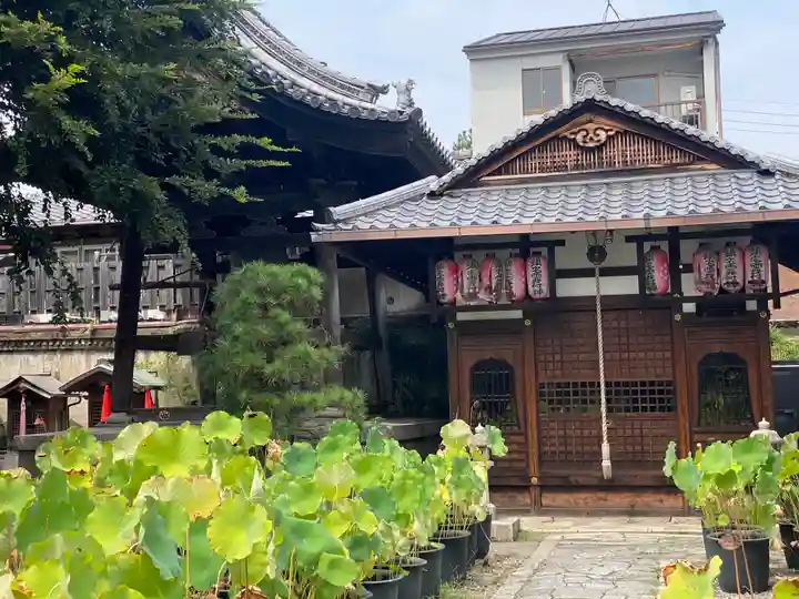 行願寺(革堂)(京都府)