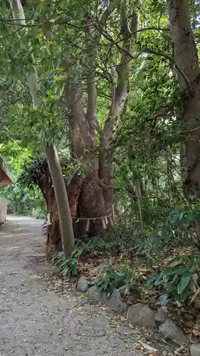 津八幡宮(三重県)