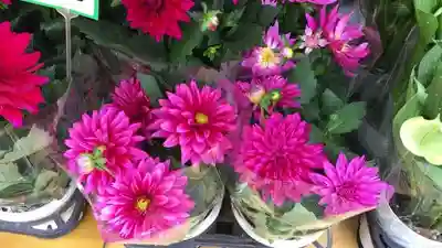 浅草富士浅間神社の周辺