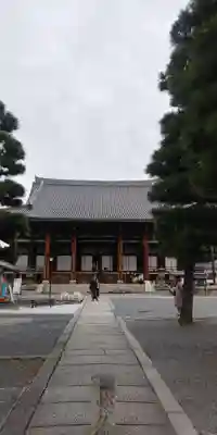 くろ谷 金戒光明寺の本殿・本堂