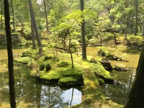 西芳寺の庭園