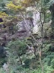 内々神社の景色