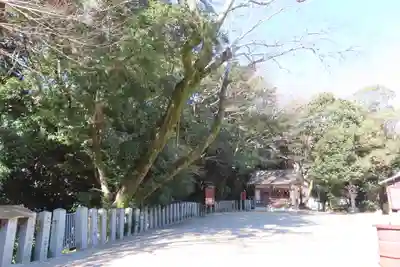 神田神社の自然