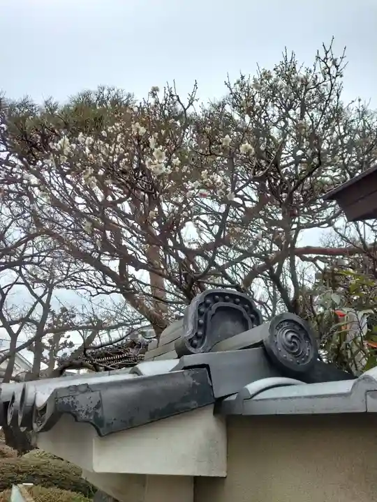 薬師院(神奈川県)