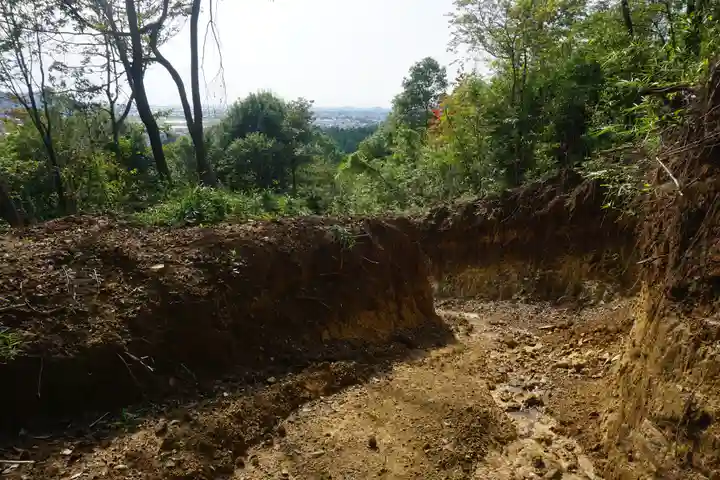 賀茂別雷神社の自然