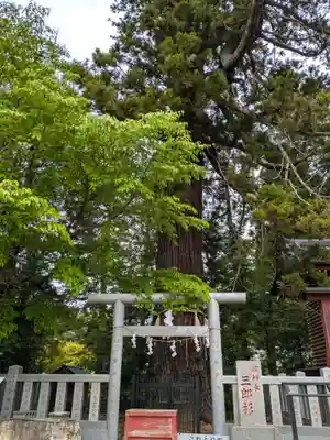大杉神社 境内社 勝馬神社(茨城県)