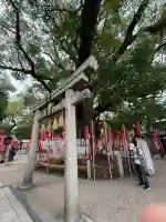 楠珺社(住吉大社末社)の{uncategorized: "未分類", other: "その他", undefined: "問題あり", building: "その他建物", grave: "お墓", sacred_gate: "鳥居", guardian: "狛犬", statue: "像", buddha: "仏像", history: "歴史", nature: "自然", garden: "庭園", animal: "動物", pagoda: "塔", temizu: "手水舎", mountain_gate: "山門・神門", sanctuary: "本殿・本堂", subordinate: "末社・摂社", art: "芸術", scenery: "景色", jizo: "地蔵", ema: "絵馬", goshuin: "御朱印", omikuji: "おみくじ", items: "授与品その他", amulet: "お守り", goshuincho: "御朱印帳", eats: "食事", festival: "お祭り", votive_dance: "神楽", shichigosan: "七五三参", wedding: "結婚式", experience: "体験その他", initially: "初詣", around: "周辺", anti_infection: "感染症対策"}